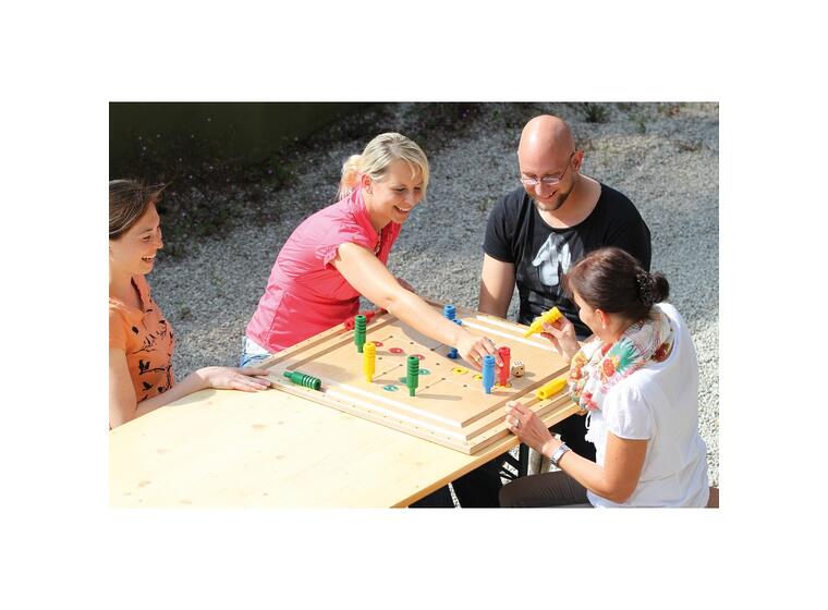 Pedalo Big Board 11 forskjellige spill på ett brett 