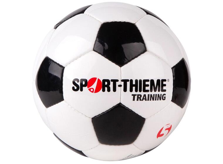 Fotball Sport-Thieme Training 5 Treningsball | Gress | Syntetisk lær 