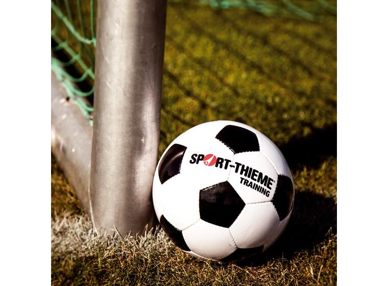Fotball Sport-Thieme Training 5 Treningsball | Gress | Syntetisk lær 