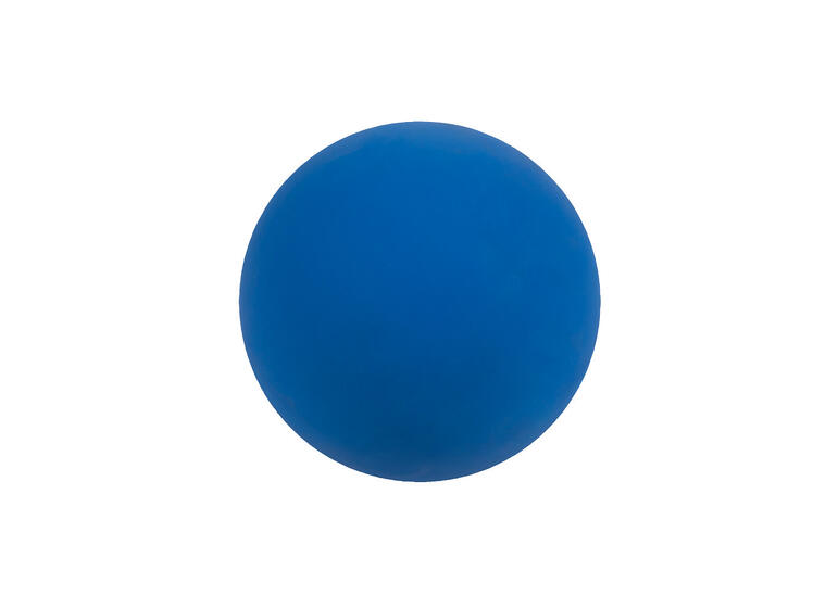 RG Ball WV 16 cm | 320 gram Treningsball i gummi | Blå 
