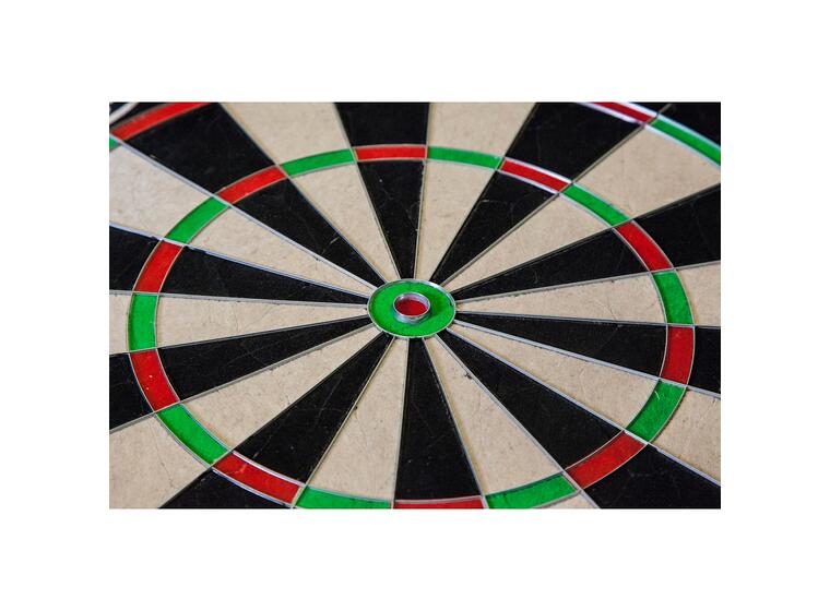 Dartskive Kings Dart Proff Internasjonal standard 