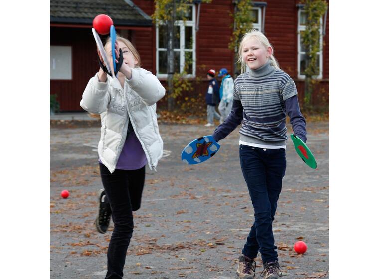 Brettball - sett med 20 par Megasett med Brettball og veiledninger 