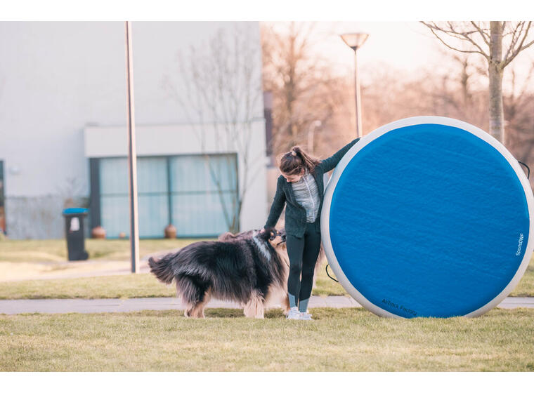 AirTrack | AirSpot Minitrampoline P3 Large 140 cm 