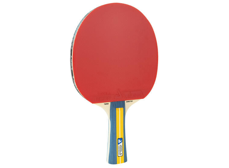 Bordtennisracket Joola Team Master ITTF godkjent | Innendørs 
