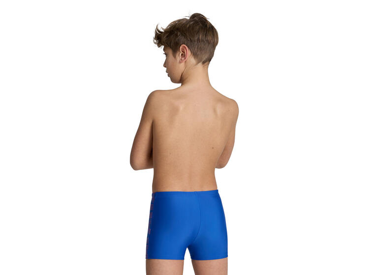 Graphic Badebukse jr 116 Arena | Swim Short | Repreve Fiber 