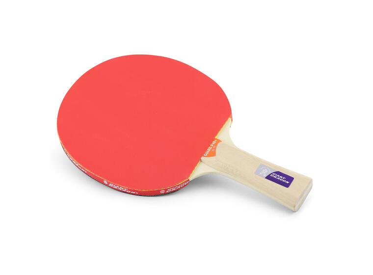 Bordtennisracket Klubben Guard Pro P40+ Skole og idrettslag 