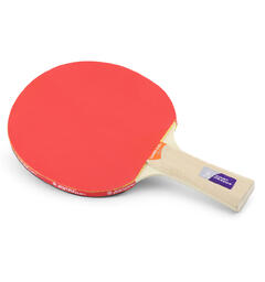 Bordtennisracket Klubben Guard Pro P40+ Skole og idrettslag