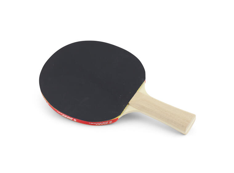 Bordtennisracket Klubben Guard Pro P40+ Skole og idrettslag 