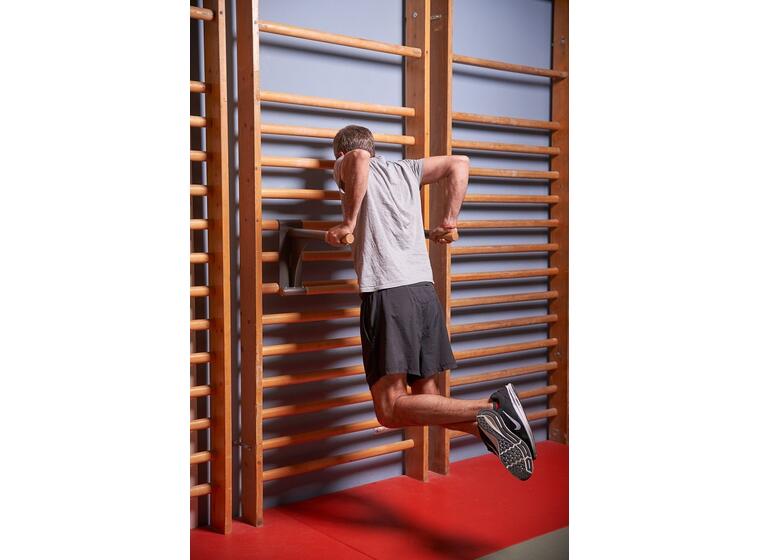 Ribbevegg med pull-up dip bar 1 seksjon | Avstand 25,2 cm | Ask 