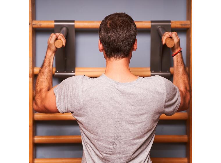 Ribbevegg med pull-up dip bar 1 seksjon | Avstand 25,2 cm | Ask 