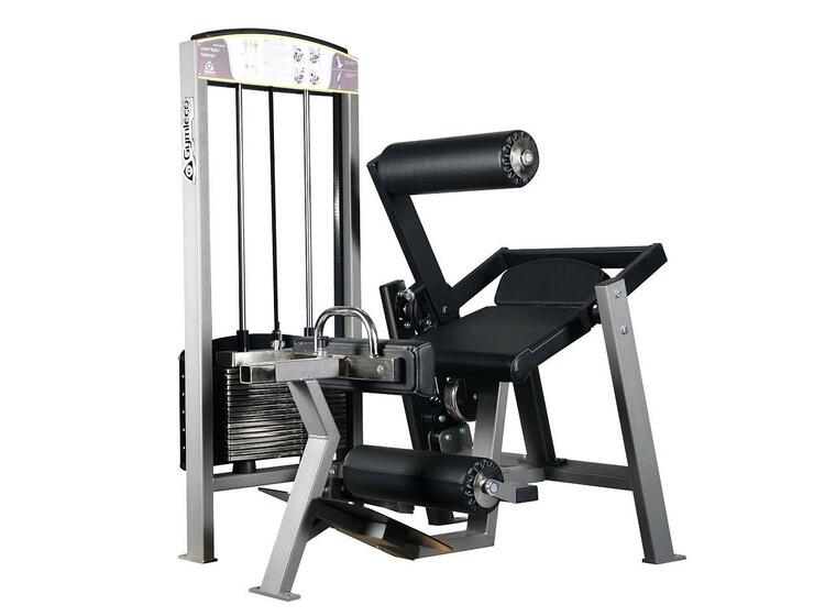 Gymleco Mage / Rygg Magasinapparat Kombi treningsapparat 