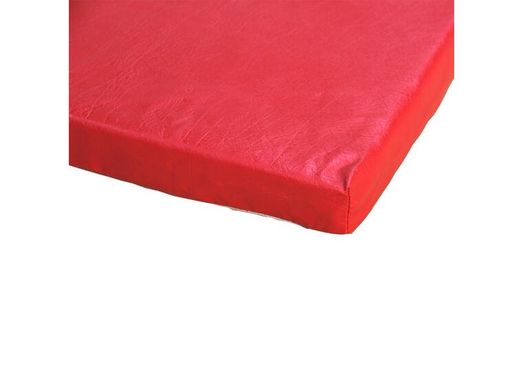Gymnova Skolematte 200 x 100 x 4 cm | Turnmatte 