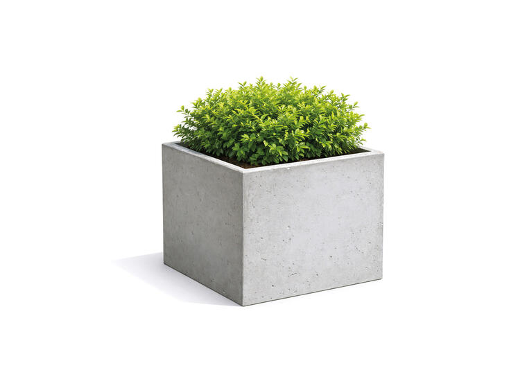Blomsterkasse 50 cm Blomsterkasse i betong 