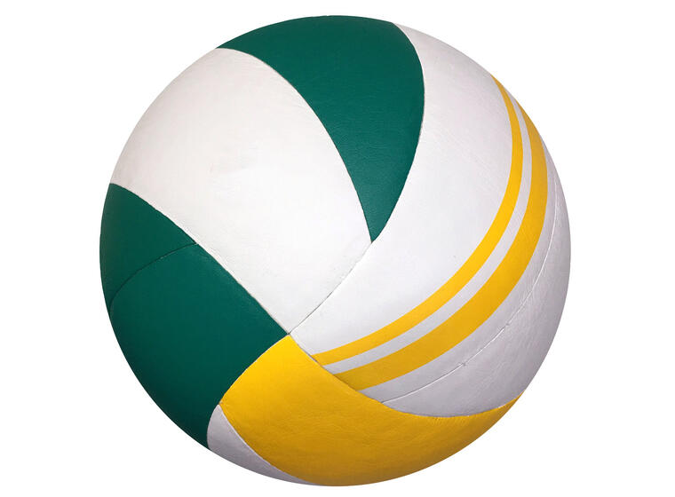 Volleyball Sport-Thieme Gold Cup 2022 Str. 5 | Skole- og treningsball 