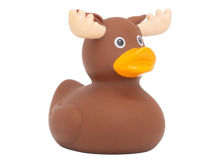 Badeand Elg 