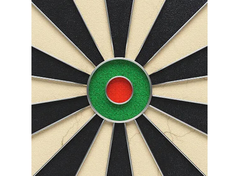 Dartskive Kings Dart Profesjonell HD Internasjonal standard 