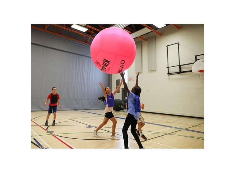 KIN-BALL® Sport 122 cm - rosa Den offisielle KIN-BALL® 