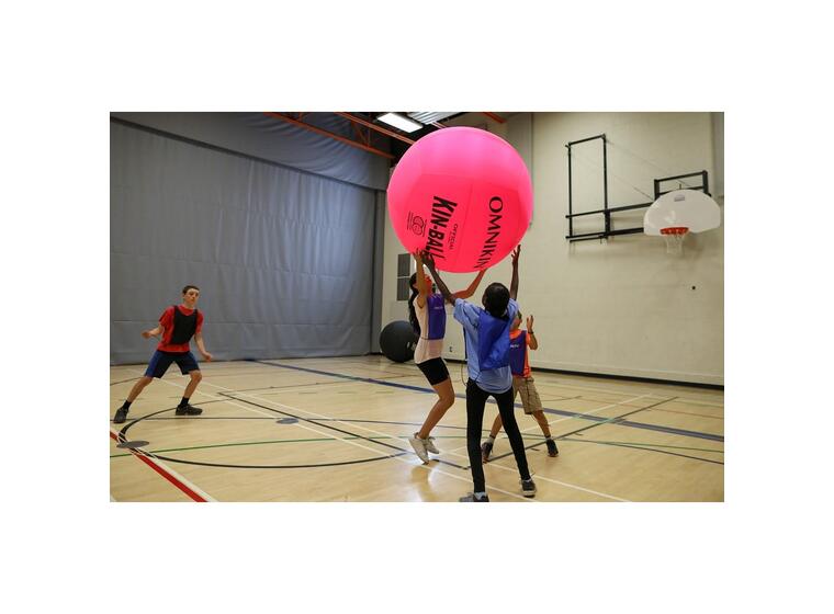 KIN-BALL® Sport 122 cm - rosa Den offisielle KIN-BALL® 