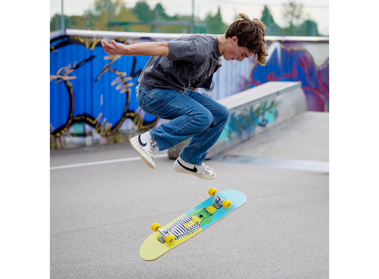 Schildkröt Skateboard Kicker 31 Rullebrett | Nybegynner 