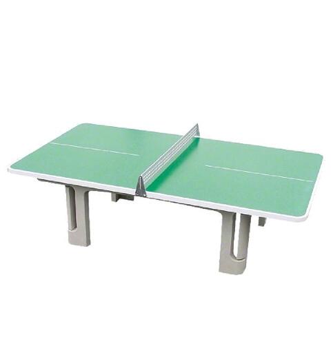 Bordtennisbord Champion Gr&#248;nn | Utend&#248;rs | Med nett