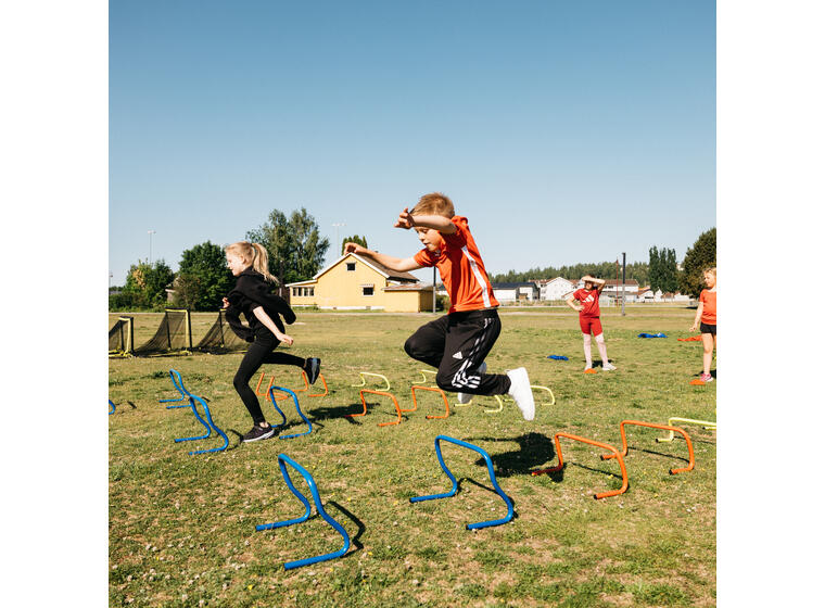 Hekk | Mini treningshekk 1 stk. Høyde: 23 cm 