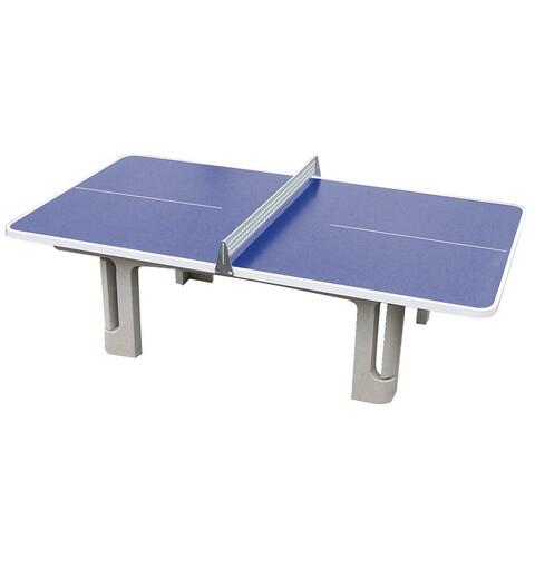 Bordtennisbord Champion Bl&#229; | Utend&#248;rs | Med nett