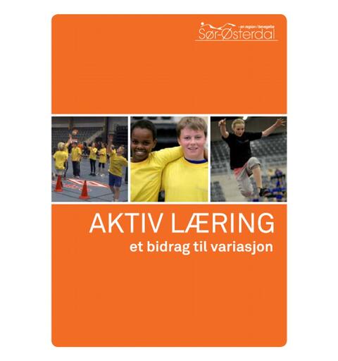 AKTIV L&#198;RING - et bidrag til variasjon 46 sider med tips til aktiv l&#230;ring
