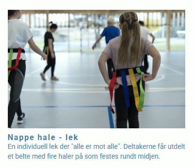 Bildet viser et eksempel på hvordan våre tips-sider vises som dynamiske artikler
