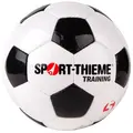 Fotball Sport-Thieme Training Treningsball | Gress | Syntestisk lær