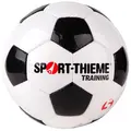 Fotball Sport-Thieme Training 5 Treningsball | Gress | Syntetisk l&#230;r