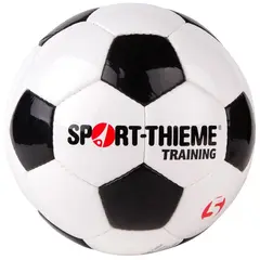 Fotball Sport-Thieme Training Treningsball | Gress | Syntestisk l&#230;r