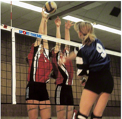 Volleyballnett DVV Skole og breddeidrett 
