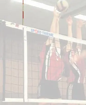 Volleyballantenne med lommer 2-delt - 1 par 