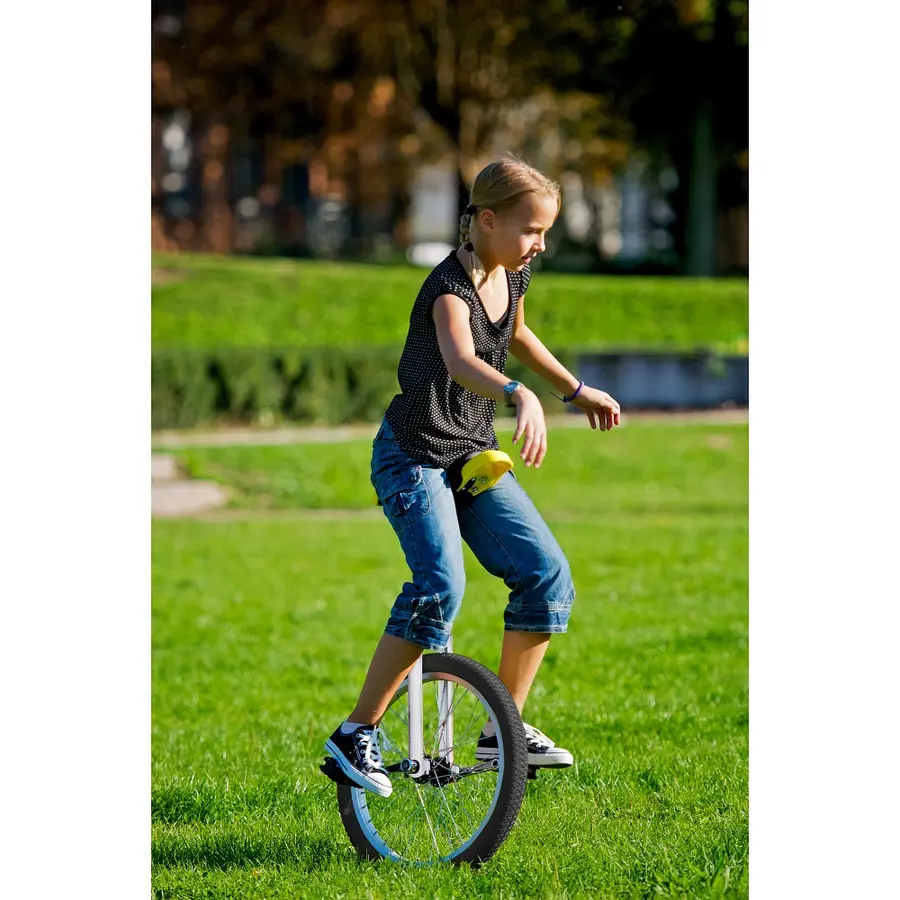 Enhjulssykkel Qu-Ax Luxus 20 | Chrome Minimum benlengde: 61 cm 