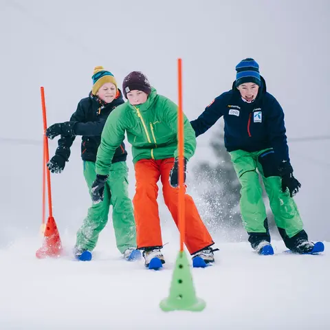 Stolper til skileik | 150 cm | 24 stk 24 Robuste plaststolper for vinterlek 