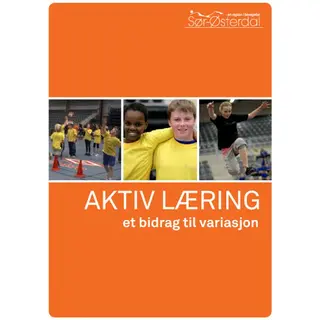 AKTIV L&#198;RING - et bidrag til variasjon 46 sider med tips til aktiv l&#230;ring