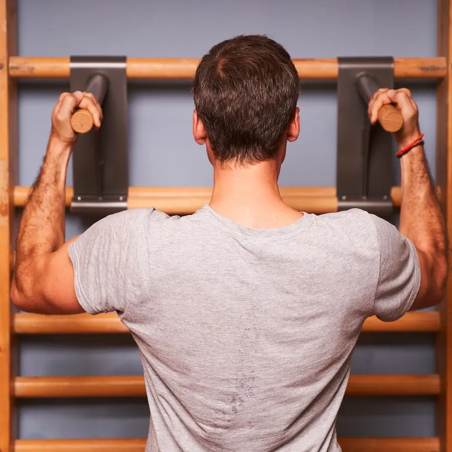 Ribbevegg med pull-up dip bar 1 seksjon | Avstand 25,2 cm | Ask 