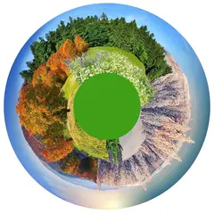 Magnetisk Effekthjul Skog Panorama Sanserom