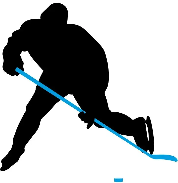 Ishockeykølle Nijdam® Senior L 150 cm | høyrebøyd blad 