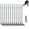 Ishockeykøller og pucker | Senior R 12 ishockeykøller 150 cm | 6 pucker