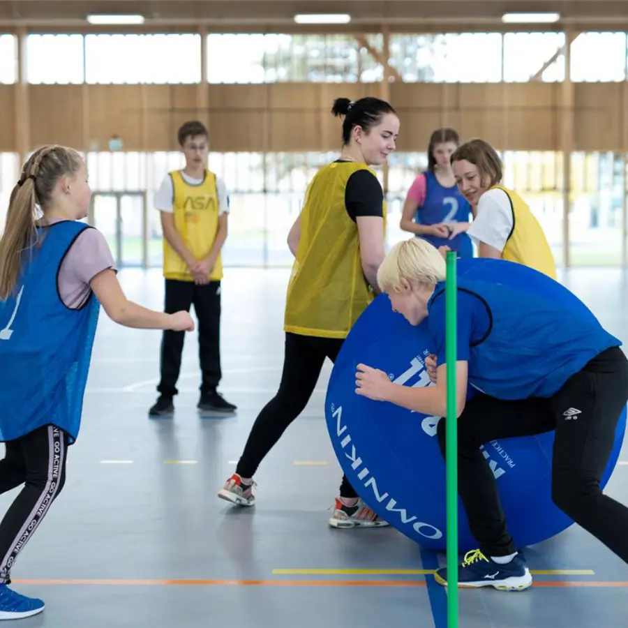 Fatball Aktivitetslek Aktivitet til inne- og utegym 