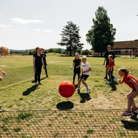 Gagaballnett | Portabelt Aktivitet for hele klassen