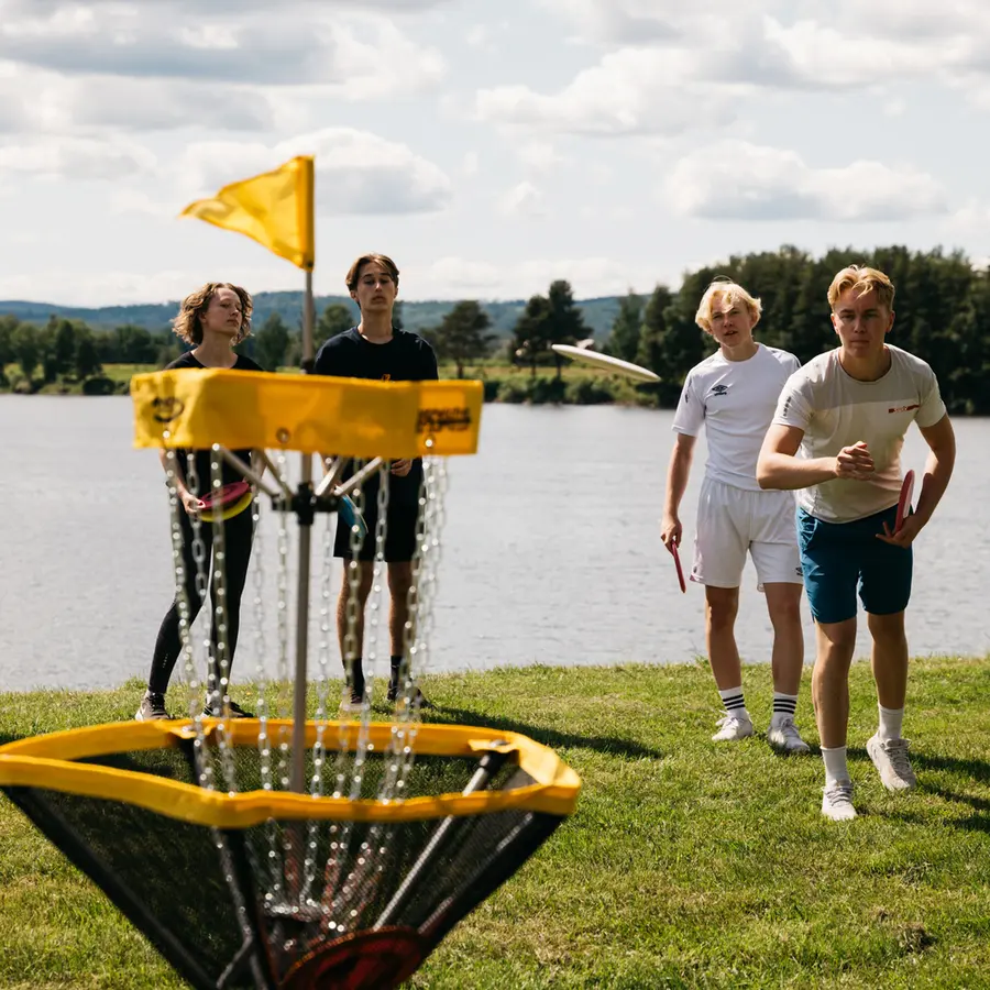 Discgolfkurv Innova Traveler Portabel frisbeegolfkurv | Ass. farger 