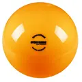 RG Ball 16 cm | 300 gram Treningsball | Gull