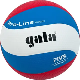 Volleyball Gala Pro Line BV 5591 S Str. 5 | Matchball