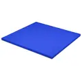 Judomatte - Konkurransematte | Bl&#229; 100 x 100 x 4 cm