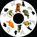 SNAP effekthjul pets Til Opti Solar og Snap projektor
