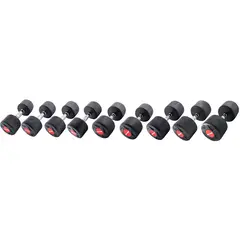 Manualsett 10-30 kg 2,5 kg intvervall | 1 stk av hver vekt