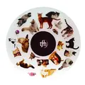 SNAP effekthjul Cats Til Opti Solar og Snap projektor