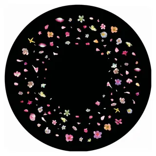 Effekthjul Sm&#229; Blomster Til Opti Solar og Snap